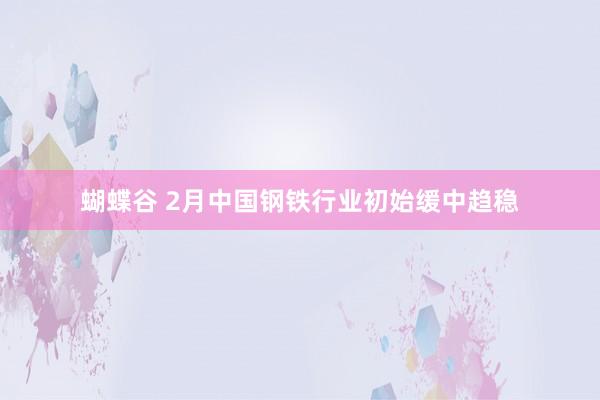 蝴蝶谷 2月中国钢铁行业初始缓中趋稳