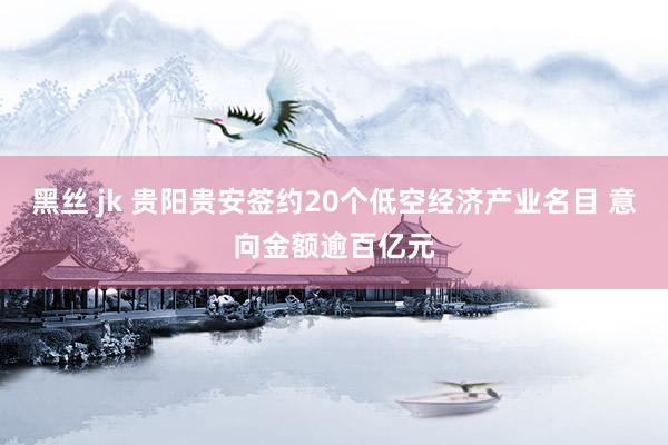 黑丝 jk 贵阳贵安签约20个低空经济产业名目 意向金额逾百亿元