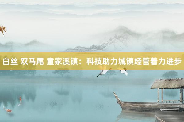 白丝 双马尾 童家溪镇：科技助力城镇经管着力进步
