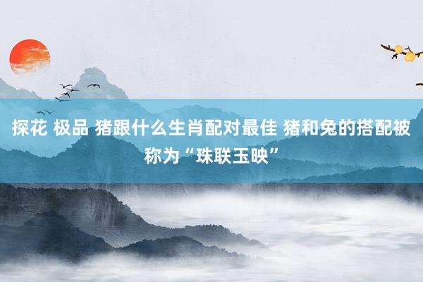 探花 极品 猪跟什么生肖配对最佳 猪和兔的搭配被称为“珠联玉映”