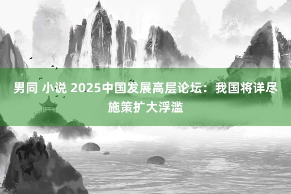 男同 小说 2025中国发展高层论坛：我国将详尽施策扩大浮滥